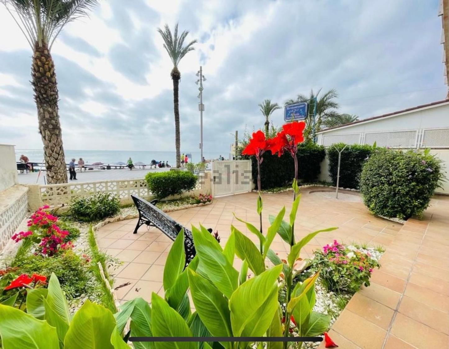 Apartamento Blue House 1ª Linea Playa Torrevieja Exterior foto